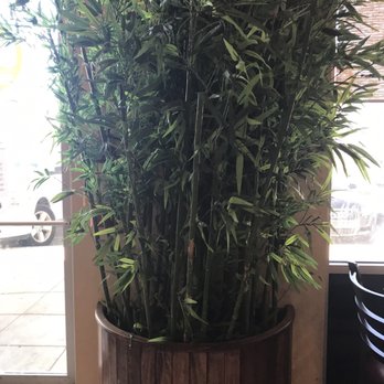 Viet Restaurant - Vietnamese Near Me - El Paso, Texas Viet Restaurant - Vietnamese Near Me - El Paso, Texas