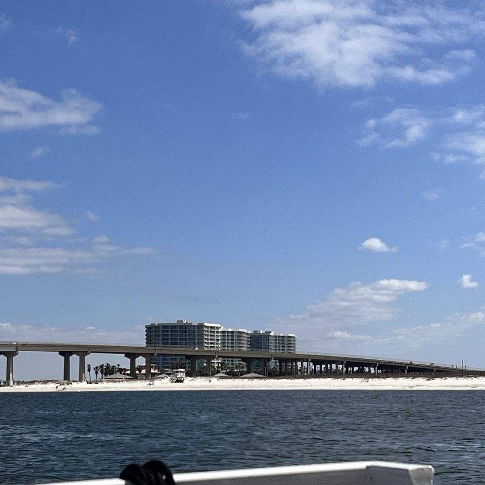 Bama Breeze Dolphin Cruise - Boat Tours Near Me - Orange Beach, Alabama Bama Breeze Dolphin Cruise - Boat Tours Near Me - Orange Beach, Alabama