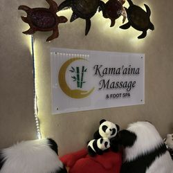 Cute turtle lights
