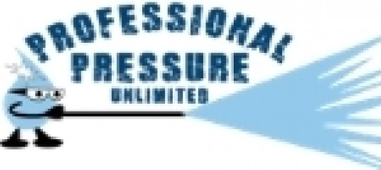 Slide of Professional Pressure Unlimited