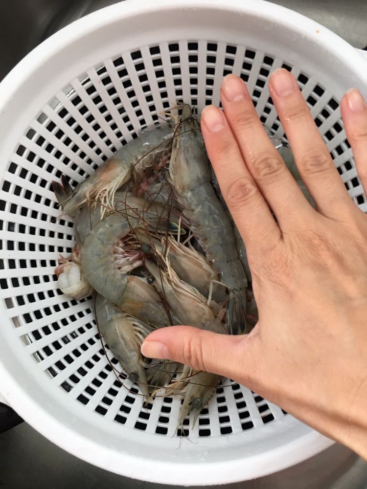 LAZARETTO CREEK SEAFOOD CLOSED Updated September 2024 15 Reviews