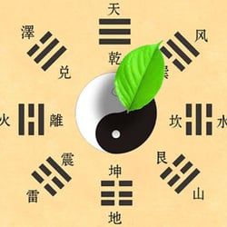 Traditionelle Chinesische Medizin - Experte-Praxis für Akupunktur & TCM München, promovierter Experte Jinfeng Chen, Heilpraktiker, Arzt in China