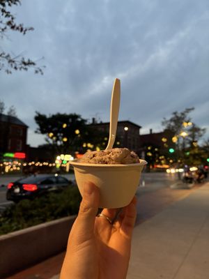 New City Microcreamery by null