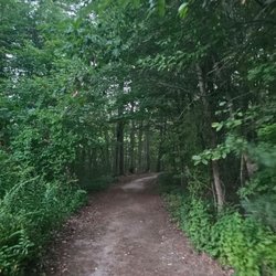 Kingston State Park