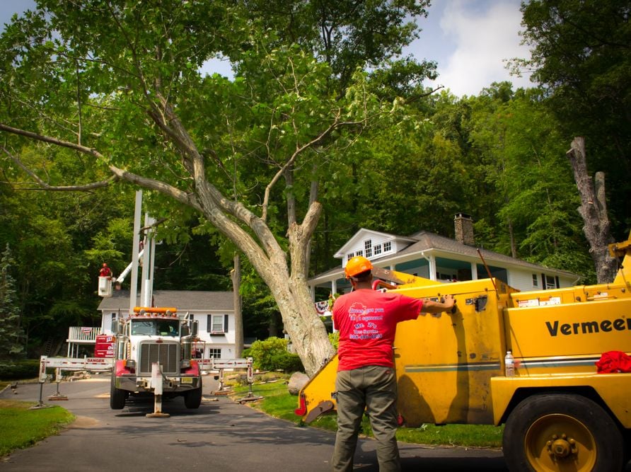 MR. Z’S TREE SERVICE Updated September 2024 20 Photos 13