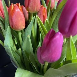 Foothills Floral Gallery