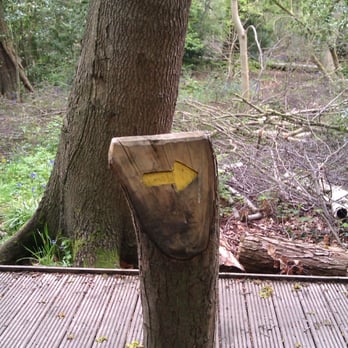 Moseley Bog Nature Reserve - Local Flavor Near Me - Birmingham, XWM