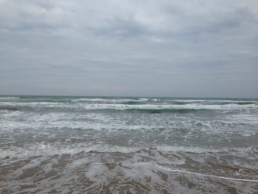 Andy Bowie County Park by null