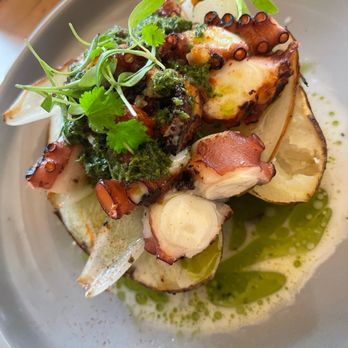 Dando La Brasa - Pulpo - Salad Near Me - Miami, Florida Dando La Brasa - Pulpo - Salad Near Me - Miami, Florida