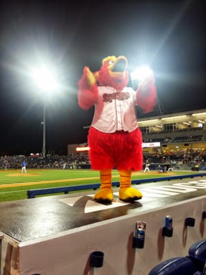 First Horizon Park by null