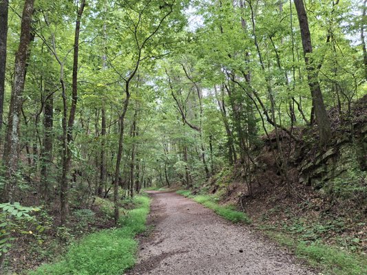 Red Mountain Park by null