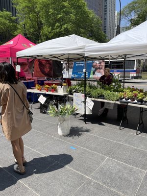 SOAR Farmers Market by null