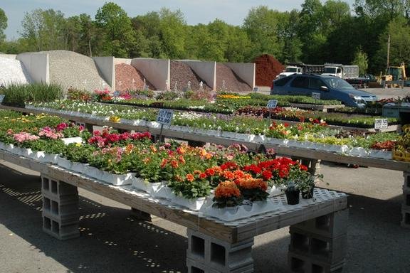 Altiere S Home Garden 8415 South Ave Youngstown Oh Nurseries Mapquest