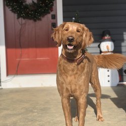 miamitown pet hospital