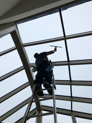 Pristine Window Cleaning Logo