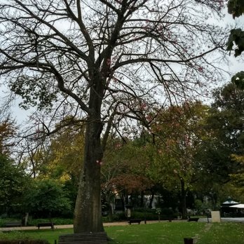 Jardim da Estrela - Parks Near Me - Lisbon, 11