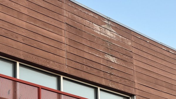 Simple Café by null