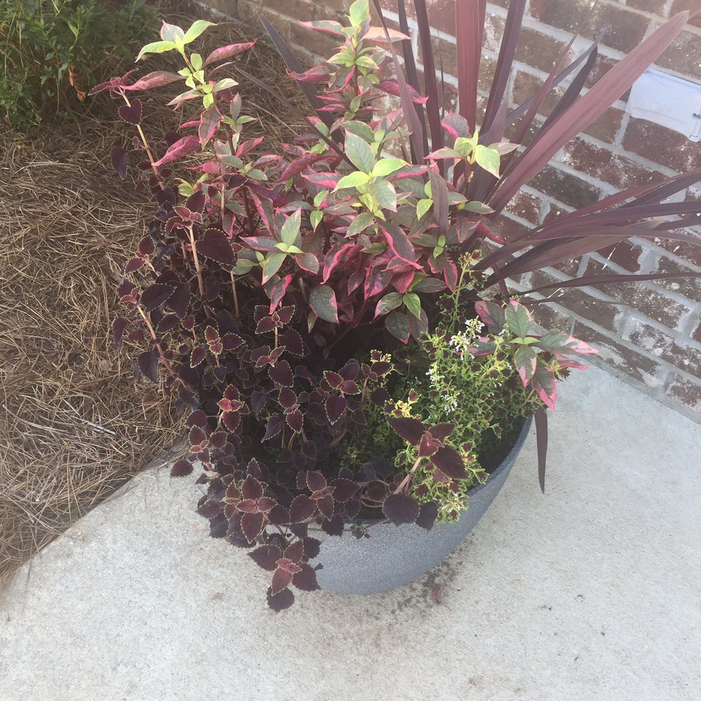 Flower Nursery In Dothan Al Best Flower Site