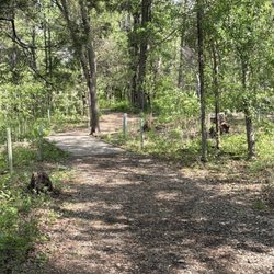 Leopold's Preserve