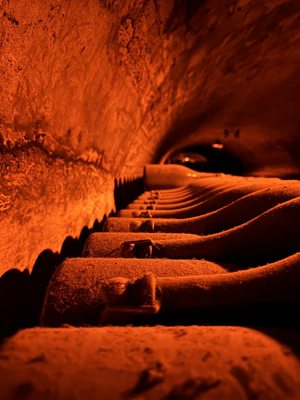 Moët et Chandon by null