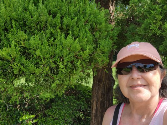 Nokonoshima Island by null