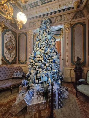 Victoria Mansion by null