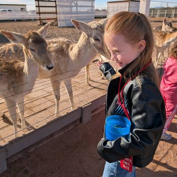 Rooster Cogburn Ostrich Ranch - Petting Zoos Near Me - Picacho, Arizona Rooster Cogburn Ostrich Ranch - Petting Zoos Near Me - Picacho, Arizona