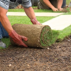 Exceptional Lawn