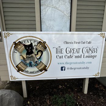 Chico Cat Cafe - Outdoor signage - Pet Adoption Near Me - Chico, California