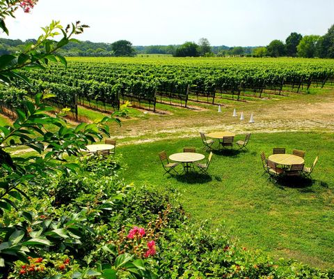 Corey Creek Tap Room by null