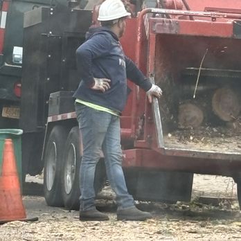 Ramiro's Tree Service - This guy is so mean horrible person - Landscaping Near Me - New Rochelle, New York Ramiro's Tree Service - This guy is so mean horrible person - Landscaping Near Me - New Rochelle, New York