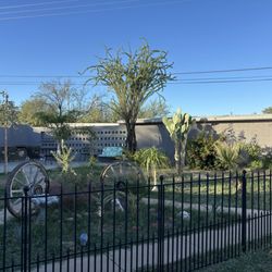 Garden next to our room.