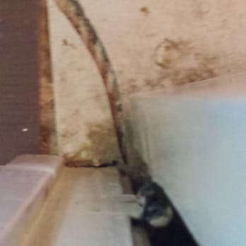 Alpha Flooring - Broken tile not reported to home owner - Flooring Near Me - Torrance, California