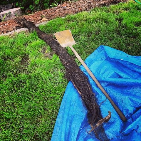 Slide of Compass Plumbing & Drain Services