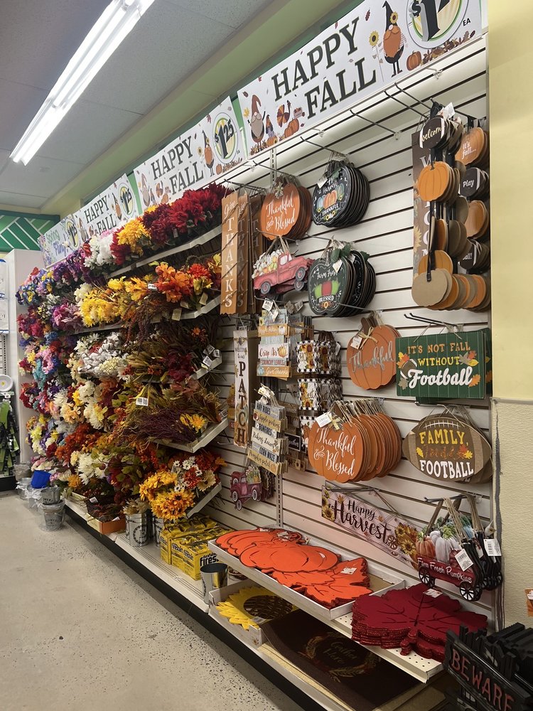 DOLLAR TREE Updated September 2024 4498 N Alafaya Trl, Orlando