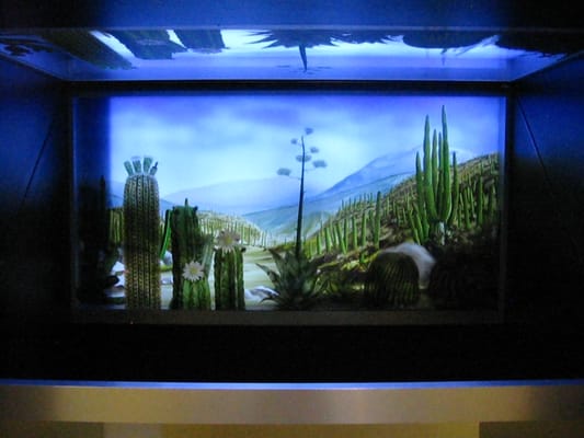 Museo del Palacio Espacio de la Diversidad by null