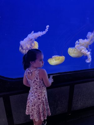 Shreveport Aquarium by null