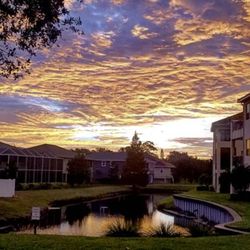 727 Realtors - Tarpon Springs