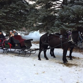 Aspen Carriage and Sleigh - Tours Near Me - Aspen, Colorado