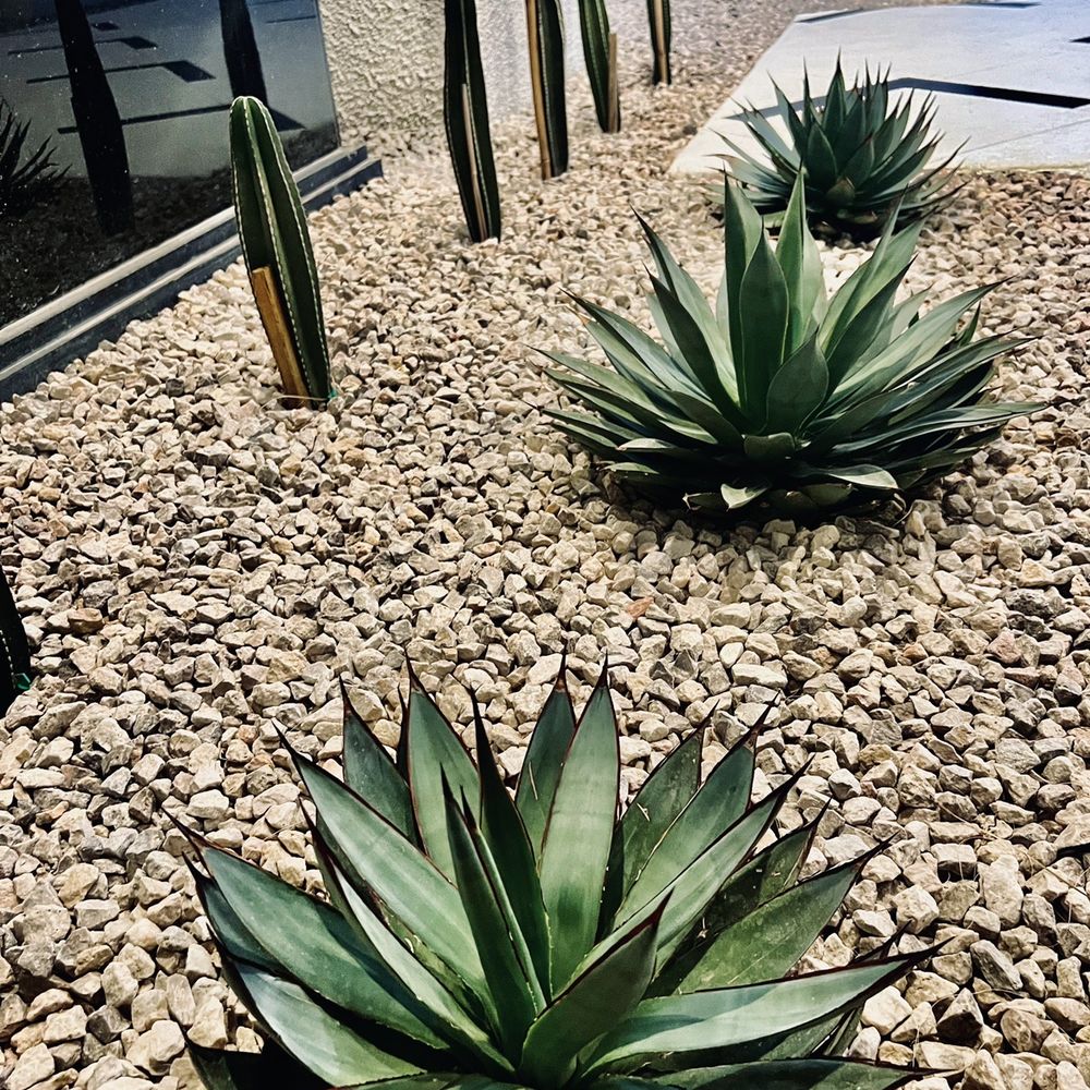 Visualized Landscape - Landscaping Near Me - North Las Vegas, Nevada Visualized Landscape - Landscaping Near Me - North Las Vegas, Nevada