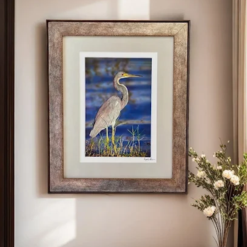Framing Creations - Framing Near Me - Lake Mary, Florida Framing Creations - Framing Near Me - Lake Mary, Florida