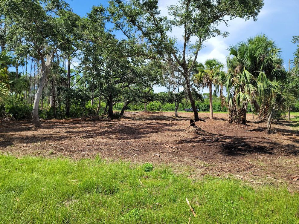 STEALTH MULCHING FORESTRY MULCHING & LAND DEVELOPMENT 22 Photos 12130 Rix Ln, Dade City