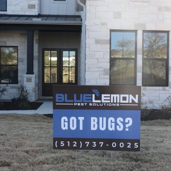 Blue Lemon Pest Solutions - Pest Control Near Me Blue Lemon Pest Solutions - Pest Control Near Me