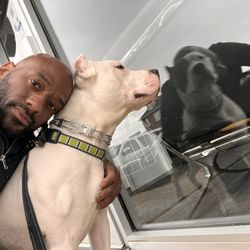 AMA Animal Rescue - Me on a walk with one of our clients for AMA.