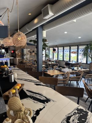 Octopus Baja by null