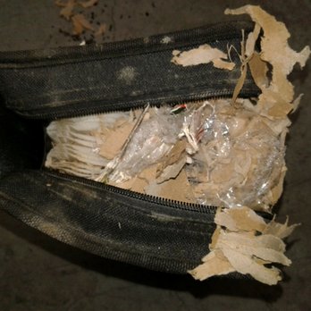 Daffodil Storage - The field mice built a nest in my CD booklet - Self Storage Near Me - Tacoma, Washington