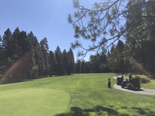 BIG MEADOW GOLF COURSE Updated March 2025 13020 Hawks Beard BIG MEADOW GOLF COURSE Updated March 2025 13020 Hawks Beard