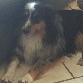 Mud Bay - Pet Stores Near Me - Puyallup, Washington