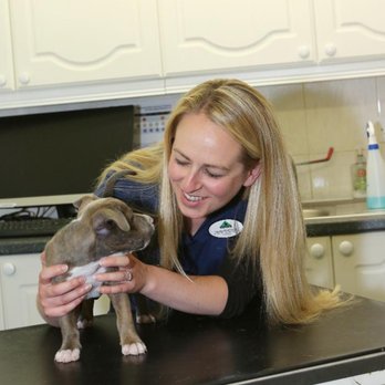 Abercorn Vets - Veterinarians Near Me - Edinburgh, EDH