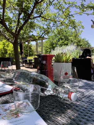 Truett Hurst Winery by null